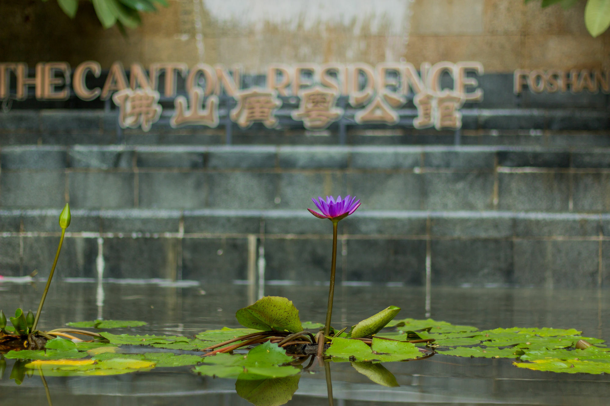 The Canton Residence ฝอซาน ภายนอก รูปภาพ